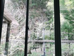 -白云源风景区