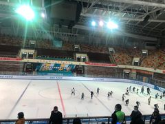 -松江大学城体育馆滑冰馆