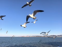 -悦海公园