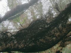 -北海金海湾红树林生态旅游区