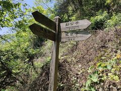 -岣嵝峰国家森林公园