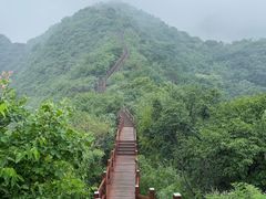 -大岭沟猕猴桃谷风景区