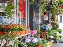 -溪岸路花鸟市场