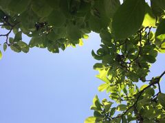 -宝鸡植物园