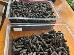 -宫品海参专卖店(静安大宁店)