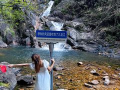 -九龙江国家森林公园