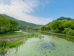 -八卦田遗址公园