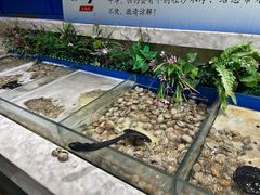 -火锅岛潮牌自助餐厅(天津天佑城店)