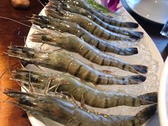 -鼎王麻辣锅(七贤店)