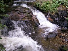 -莫里热带雨林景区