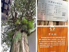 -徐霞客故居