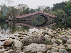 -桂湖森林公园