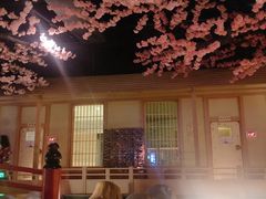 -蓝鲸湾汤泉(包河店)