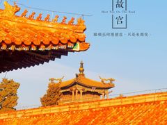 -故宫博物院(故宫)