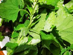 -亮欢寨(凯里总店)