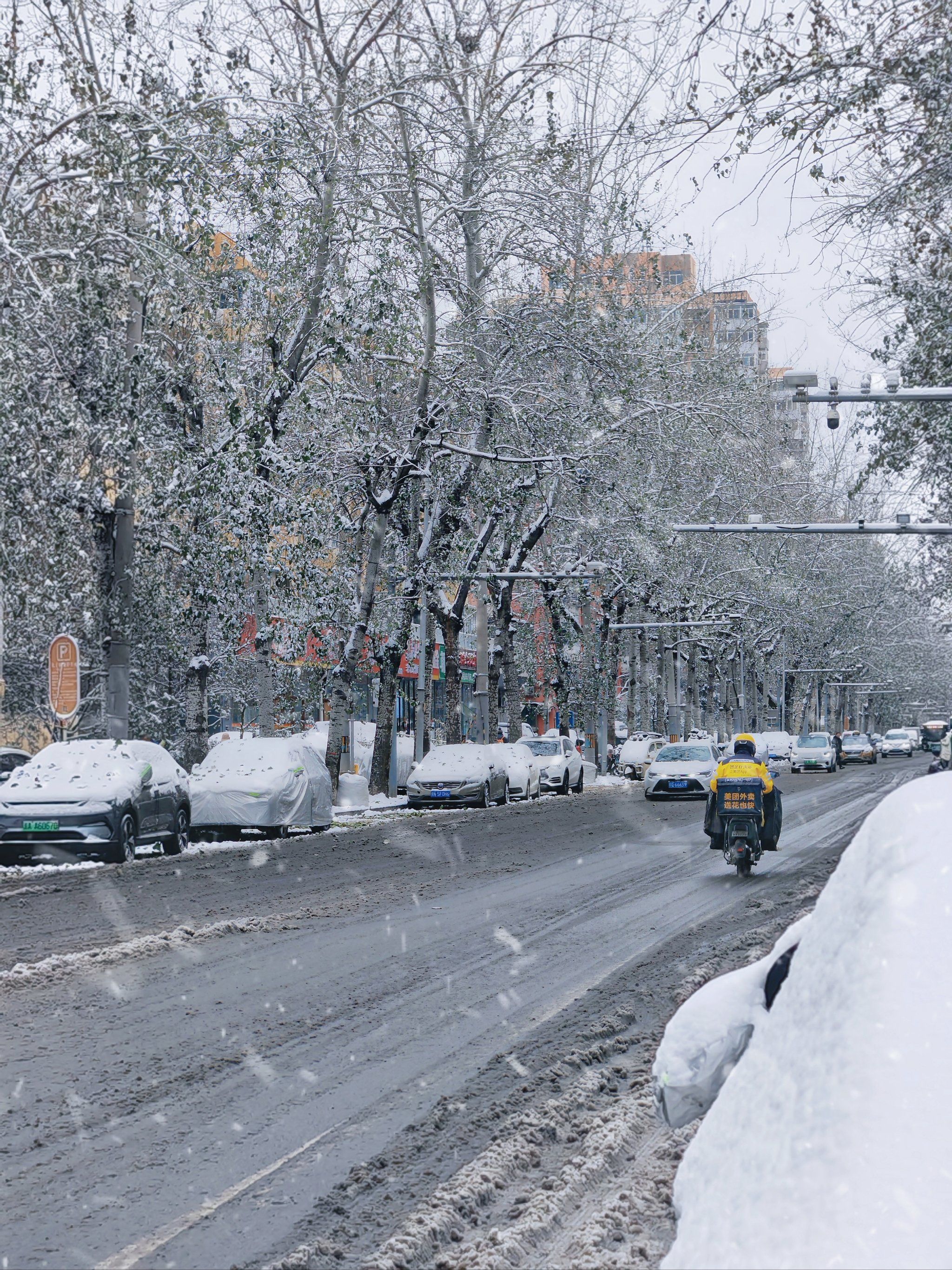 北京的雪