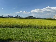 -光明小镇欢乐田园