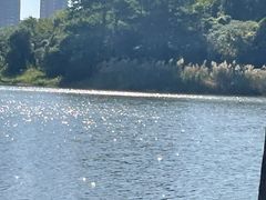 -飞来湖湿地公园