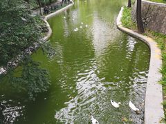 -长乐公园游乐场