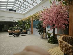 -添囍月子会所