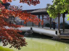 -秋霞圃