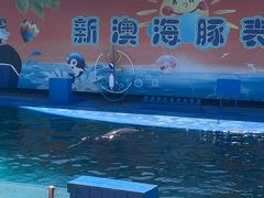 -秦皇岛新澳海底世界