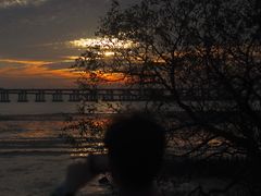 -宝安西湾红树林湿地公园