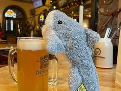 -巴伐利亚啤酒坊(意式风情街店)