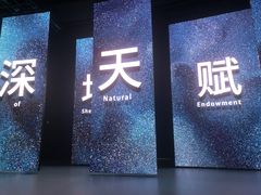 -深圳市当代艺术与城市规划馆