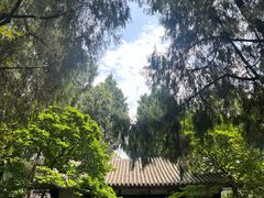 -成都武侯祠博物馆