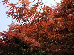 -兰溪青年公园
