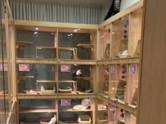 -BABIT巴比特宠物(MOMOPARK店)