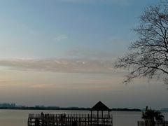 -瑶湖郊野森林公园