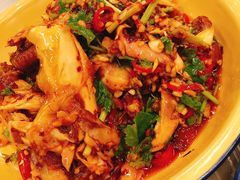 手撕卤鸡-东排食堂长沙小吃大排档(五一广场店)