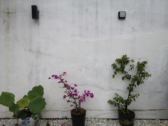 -大隐国际青年旅舍(上海陆家嘴东方明珠店)