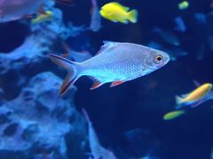 -成都浩海立方海洋公园