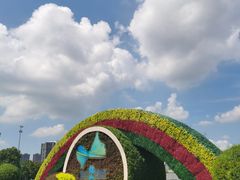 -映月湖中央公园