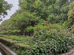 -洛阳市隋唐城遗址植物园