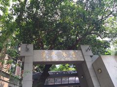 -香港大学