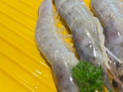 -猫爪爪原切自助烤肉(观音桥阳光世纪店)