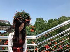 -老外街