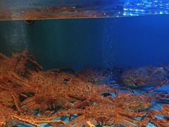-阿伟海鲜楼·福建菜(延寿店)