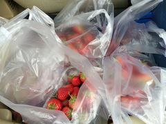 -大连果菜批发市场