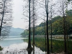 -广州市白云山风景名胜区