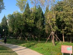 -咸阳湖景区