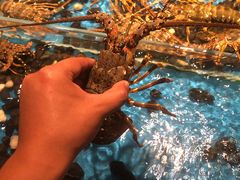 海鲜刺身拼盘-Mr·Fish鱼鲜生海鲜放题(银泰in99店)