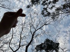 -东湖落雁景区