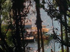 -水濂山森林公园