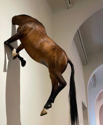 -崇尚GAVIN STYLE臻选