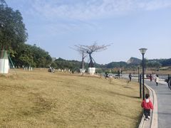 -东莞植物园